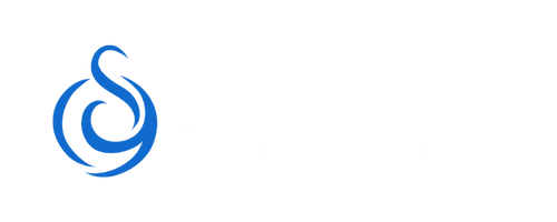 SSM Technologies Pty Ltd | ICT Resourcing . IT Consulting . Overall IT Strategy